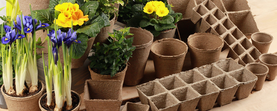 Doniczki torfowe stylizacja wiosenna